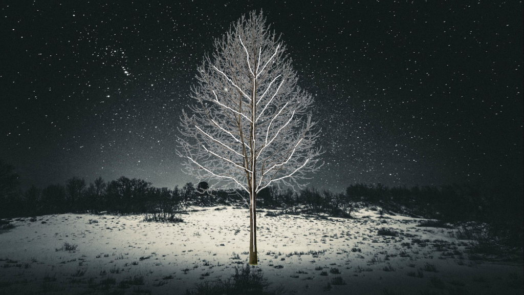 Christmas Tree Light Calculator